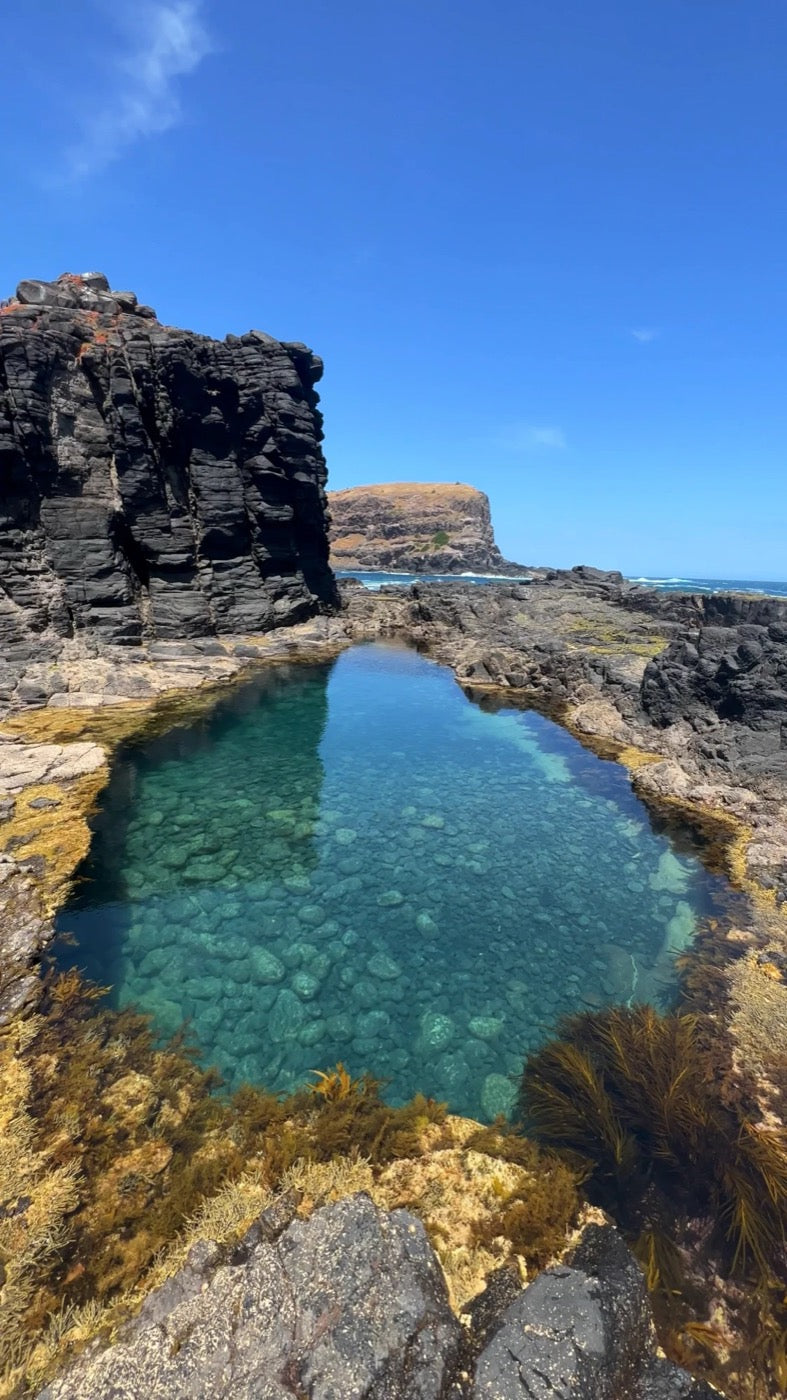 Clear blue rock pool under basalt cliffs at Bushrangers Bay, Mornington Peninsula