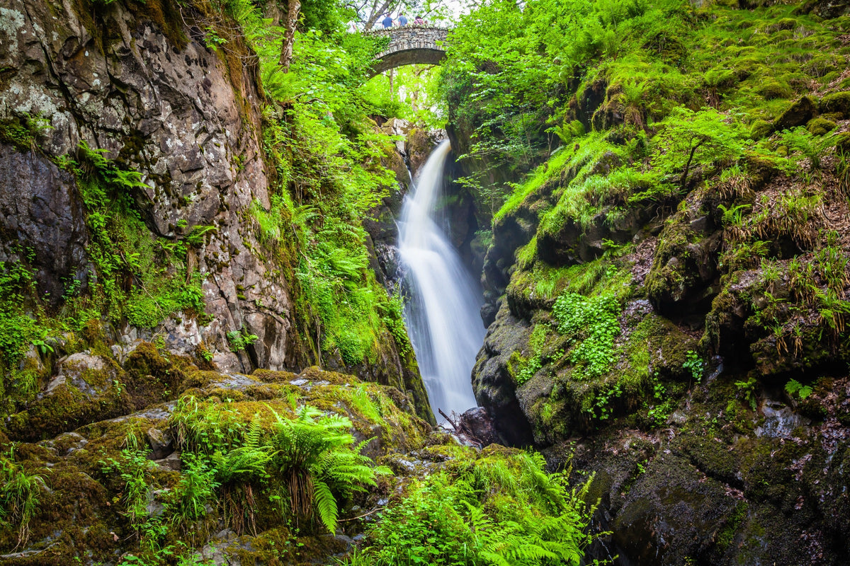 Aira Force falling through a mossy, fern-lined gorge below a stone footbridge, near Ullswater in the Lake District