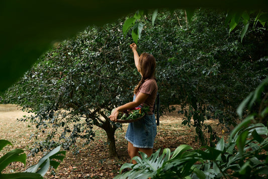 How to Get Your 88 Days of Farm Work - Full Guide for 2026