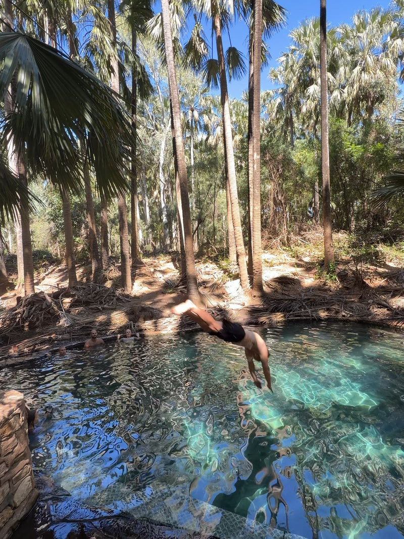 Swimmer diving into the clear, palm-fringed Mataranka Thermal Pool, Northern Territory, Australia